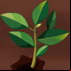 Plant Games